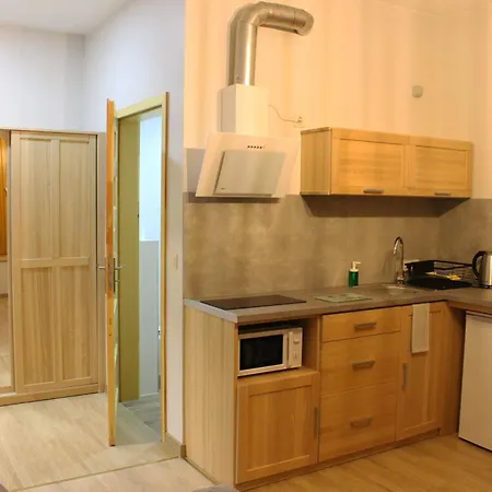 Apartamenty Pod Niedzwiedziem Centrum II Закопане Екстер'єр фото