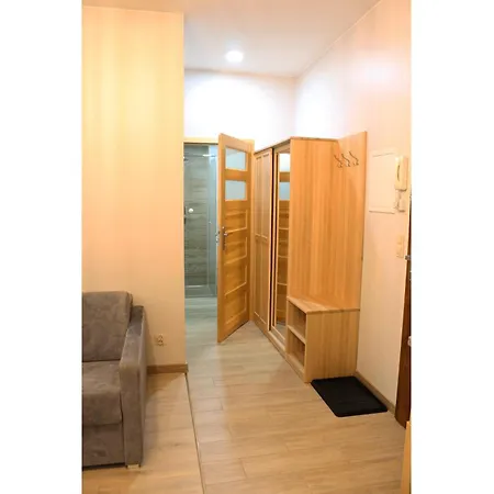 Apartamenty Pod Niedzwiedziem Centrum II Закопане Екстер'єр фото