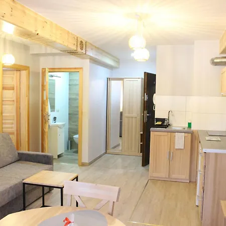 Apartamenty Pod Niedzwiedziem Centrum II Закопане Екстер'єр фото