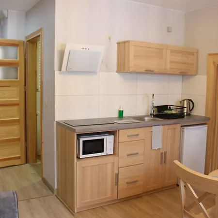 Apartamenty Pod Niedzwiedziem Centrum II Закопане Екстер'єр фото