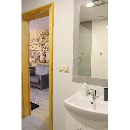 Apartamenty Pod Niedzwiedziem Centrum II Закопане Екстер'єр фото
