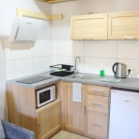 Apartamenty Pod Niedzwiedziem Centrum II Закопане Екстер'єр фото